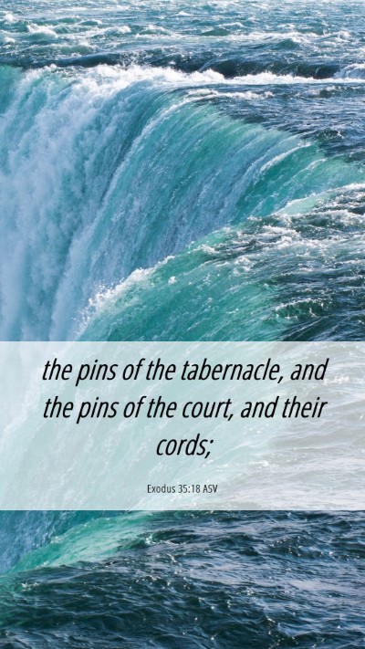 Picture 06 - Exodus 35:18 ASV Mobile Phone Wallpaper - the pins of the tabernacle, and the pins of the - Mobile Bible Verse Wallpaper
