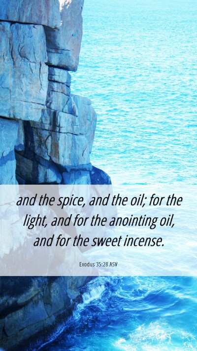 Picture 06 - Exodus 35:28 ASV Mobile Phone Wallpaper - and the spice, and the oil; for the light, and - Mobile Bible Verse Wallpaper