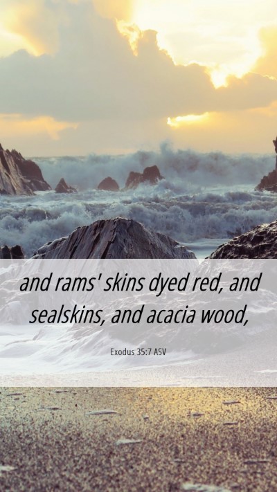 Picture 06 - Exodus 35:7 ASV Mobile Phone Wallpaper - and rams' skins dyed red, and sealskins, and - Mobile Bible Verse Wallpaper