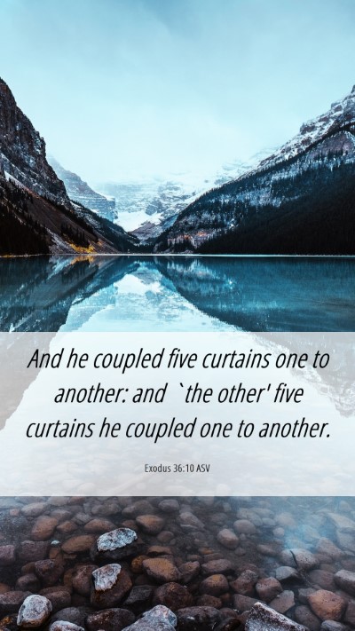 Picture 06 - Exodus 36:10 ASV Mobile Phone Wallpaper - And he coupled five curtains one to another: and - Mobile Bible Verse Wallpaper