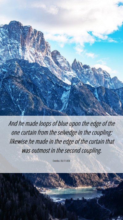 Picture 06 - Exodus 36:11 ASV Mobile Phone Wallpaper - And he made loops of blue upon the edge of the - Mobile Bible Verse Wallpaper