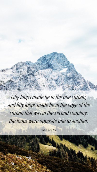 Picture 06 - Exodus 36:12 ASV Mobile Phone Wallpaper - Fifty loops made he in the one curtain, and fifty - Mobile Bible Verse Wallpaper