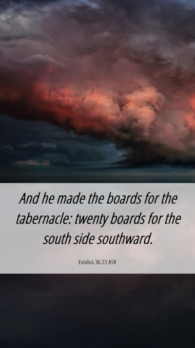 Picture 06 - Exodus 36:23 ASV Mobile Phone Wallpaper - And he made the boards for the tabernacle: twenty - Mobile Bible Verse Wallpaper