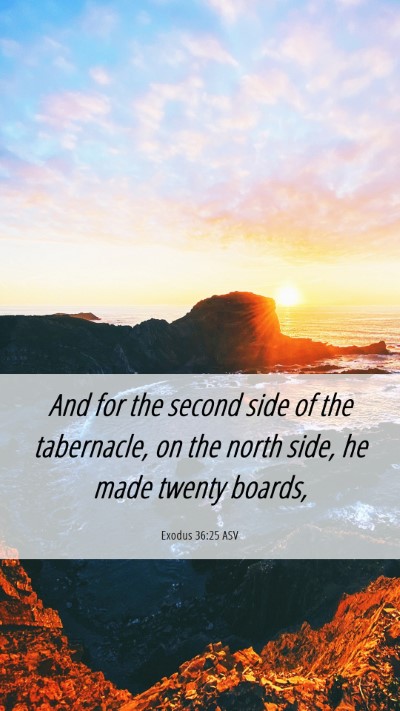 Picture 06 - Exodus 36:25 ASV Mobile Phone Wallpaper - And for the second side of the tabernacle, on the - Mobile Bible Verse Wallpaper