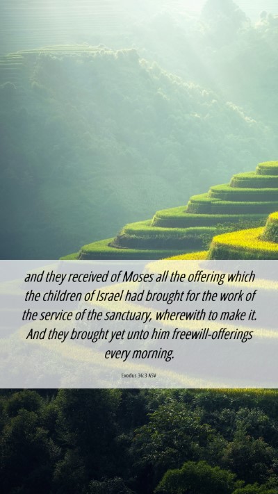 Picture 06 - Exodus 36:3 ASV Mobile Phone Wallpaper - and they received of Moses all the offering which - Mobile Bible Verse Wallpaper