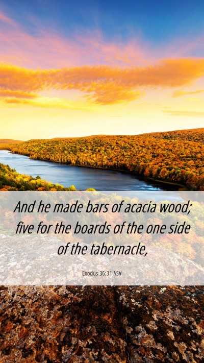 Picture 06 - Exodus 36:31 ASV Mobile Phone Wallpaper - And he made bars of acacia wood; five for the - Mobile Bible Verse Wallpaper