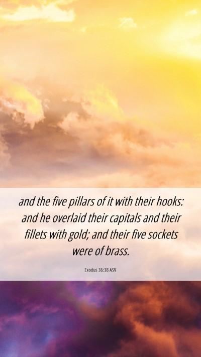 Picture 06 - Exodus 36:38 ASV Mobile Phone Wallpaper - and the five pillars of it with their hooks: and - Mobile Bible Verse Wallpaper