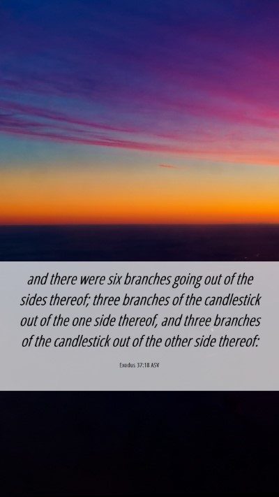 Picture 06 - Exodus 37:18 ASV Mobile Phone Wallpaper - and there were six branches going out of the - Mobile Bible Verse Wallpaper