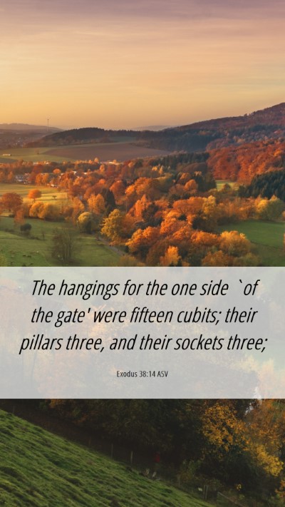 Picture 06 - Exodus 38:14 ASV Mobile Phone Wallpaper - The hangings for the one side `of the gate' were - Mobile Bible Verse Wallpaper