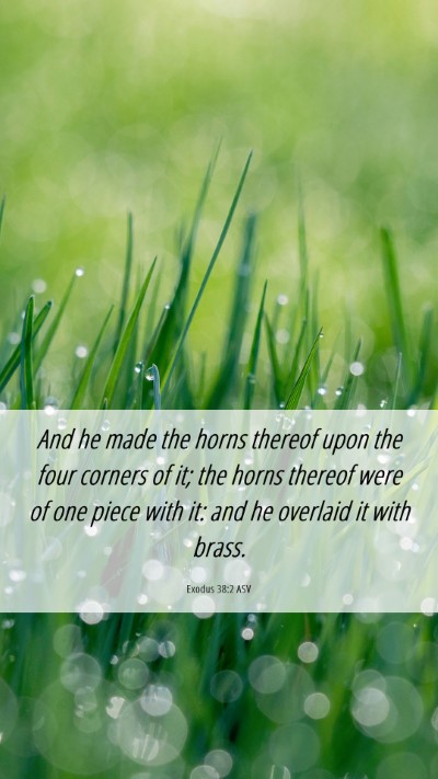 Picture 06 - Exodus 38:2 ASV Mobile Phone Wallpaper - And he made the horns thereof upon the four - Mobile Bible Verse Wallpaper
