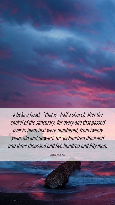 Picture 06 - Exodus 38:26 ASV Mobile Phone Wallpaper - a beka a head, `that is', half a shekel, after - Mobile Bible Verse Wallpaper