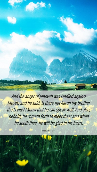 Picture 06 - Exodus 4:14 ASV Mobile Phone Wallpaper - And the anger of Jehovah was kindled against - Mobile Bible Verse Wallpaper