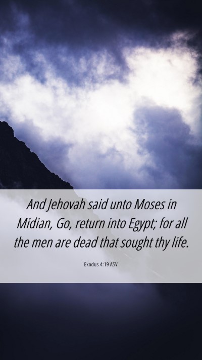 Picture 06 - Exodus 4:19 ASV Mobile Phone Wallpaper - And Jehovah said unto Moses in Midian, Go, return - Mobile Bible Verse Wallpaper