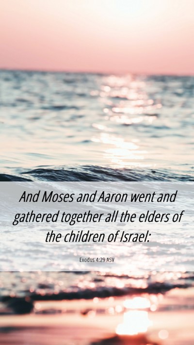 Picture 06 - Exodus 4:29 ASV Mobile Phone Wallpaper - And Moses and Aaron went and gathered together - Mobile Bible Verse Wallpaper