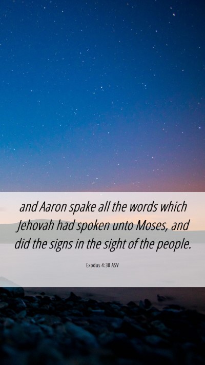Picture 06 - Exodus 4:30 ASV Mobile Phone Wallpaper - and Aaron spake all the words which Jehovah had - Mobile Bible Verse Wallpaper