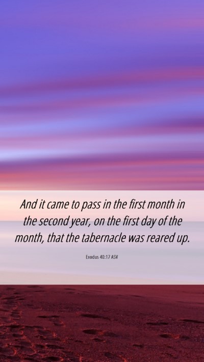 Picture 06 - Exodus 40:17 ASV Mobile Phone Wallpaper - And it came to pass in the first month in the - Mobile Bible Verse Wallpaper