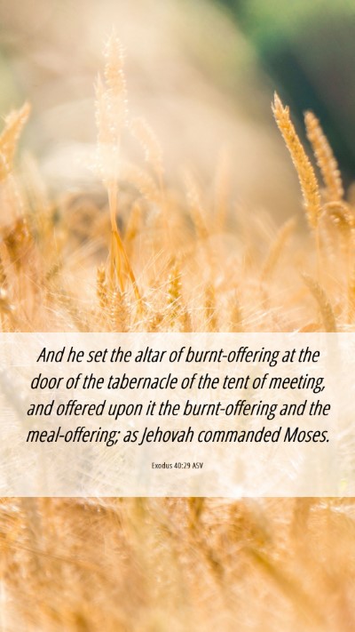 Picture 06 - Exodus 40:29 ASV Mobile Phone Wallpaper - And he set the altar of burnt-offering at the - Mobile Bible Verse Wallpaper