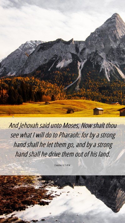 Picture 06 - Exodus 6:1 ASV Mobile Phone Wallpaper - And Jehovah said unto Moses, Now shalt thou see - Mobile Bible Verse Wallpaper