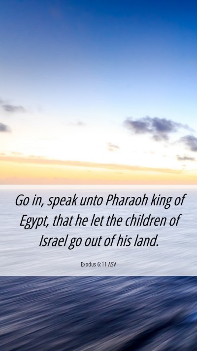 Picture 06 - Exodus 6:11 ASV Mobile Phone Wallpaper - Go in, speak unto Pharaoh king of Egypt, that he - Mobile Bible Verse Wallpaper