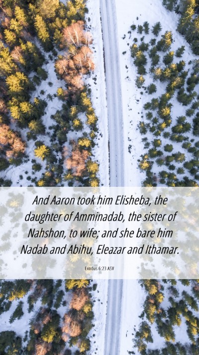Picture 06 - Exodus 6:23 ASV Mobile Phone Wallpaper - And Aaron took him Elisheba, the daughter of - Mobile Bible Verse Wallpaper