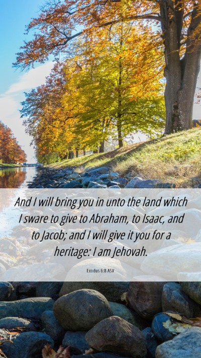 Picture 06 - Exodus 6:8 ASV Mobile Phone Wallpaper - And I will bring you in unto the land which I - Mobile Bible Verse Wallpaper