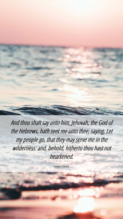 Picture 06 - Exodus 7:16 ASV Mobile Phone Wallpaper - And thou shalt say unto him, Jehovah, the God of - Mobile Bible Verse Wallpaper
