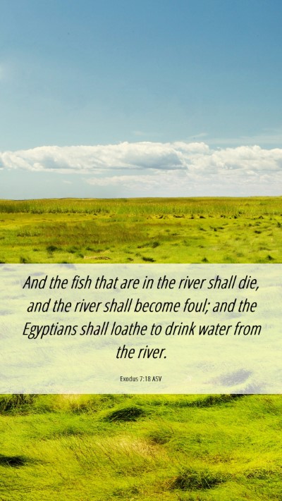 Picture 06 - Exodus 7:18 ASV Mobile Phone Wallpaper - And the fish that are in the river shall die, and - Mobile Bible Verse Wallpaper