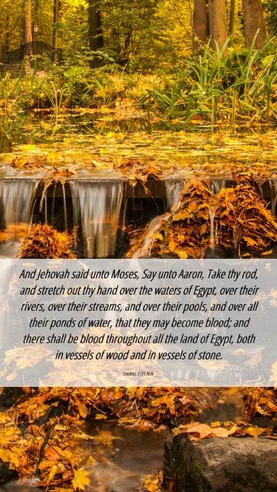 Picture 06 - Exodus 7:19 ASV Mobile Phone Wallpaper - And Jehovah said unto Moses, Say unto Aaron, Take - Mobile Bible Verse Wallpaper