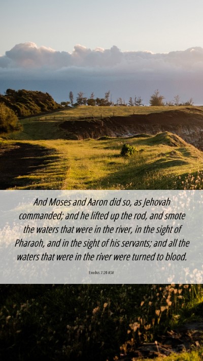 Picture 06 - Exodus 7:20 ASV Mobile Phone Wallpaper - And Moses and Aaron did so, as Jehovah commanded; - Mobile Bible Verse Wallpaper