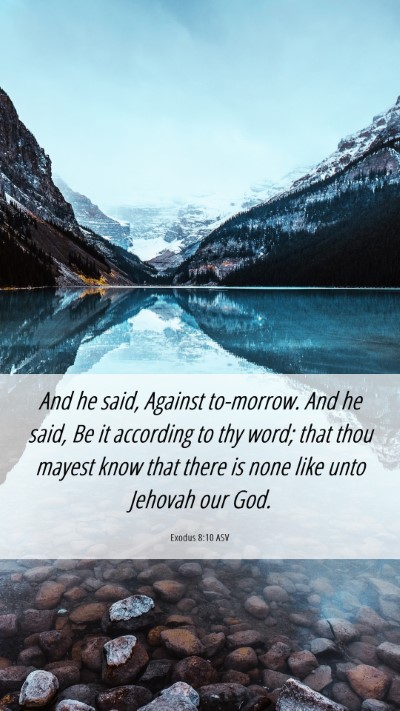 Picture 06 - Exodus 8:10 ASV Mobile Phone Wallpaper - And he said, Against to-morrow. And he said, Be - Mobile Bible Verse Wallpaper