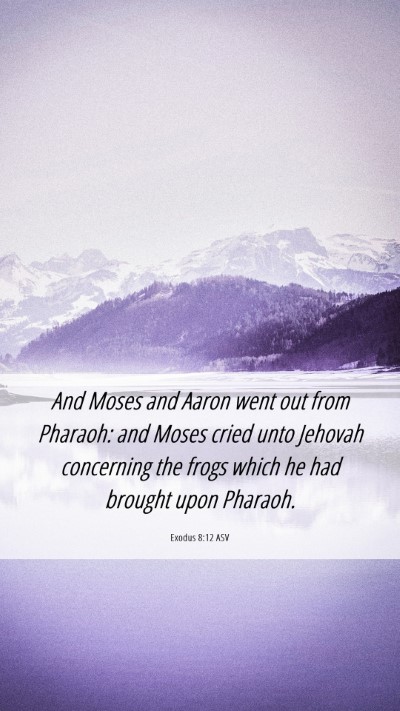 Picture 06 - Exodus 8:12 ASV Mobile Phone Wallpaper - And Moses and Aaron went out from Pharaoh: and - Mobile Bible Verse Wallpaper