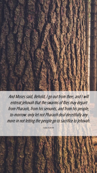 Picture 06 - Exodus 8:29 ASV Mobile Phone Wallpaper - And Moses said, Behold, I go out from thee, and I - Mobile Bible Verse Wallpaper