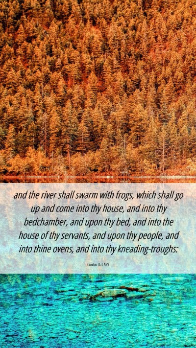 Picture 06 - Exodus 8:3 ASV Mobile Phone Wallpaper - and the river shall swarm with frogs, which shall - Mobile Bible Verse Wallpaper