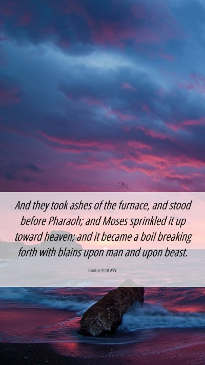 Picture 06 - Exodus 9:10 ASV Mobile Phone Wallpaper - And they took ashes of the furnace, and stood - Mobile Bible Verse Wallpaper