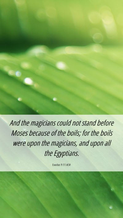 Picture 06 - Exodus 9:11 ASV Mobile Phone Wallpaper - And the magicians could not stand before Moses - Mobile Bible Verse Wallpaper