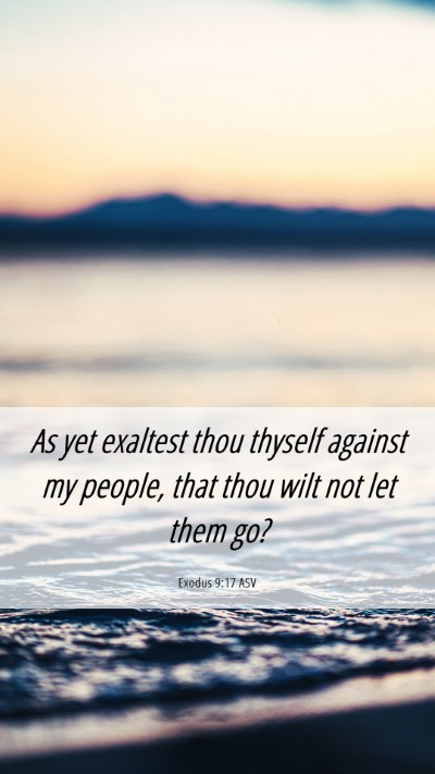 Picture 06 - Exodus 9:17 ASV Mobile Phone Wallpaper - As yet exaltest thou thyself against my people, - Mobile Bible Verse Wallpaper