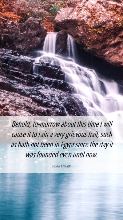 Picture 06 - Exodus 9:18 ASV Mobile Phone Wallpaper - Behold, to-morrow about this time I will cause it - Mobile Bible Verse Wallpaper