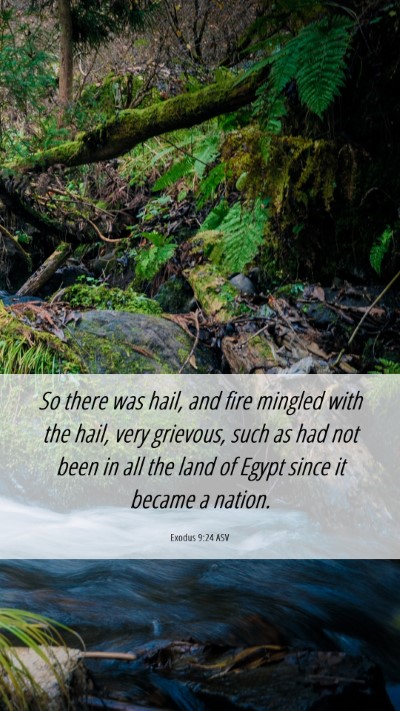 Picture 06 - Exodus 9:24 ASV Mobile Phone Wallpaper - So there was hail, and fire mingled with the - Mobile Bible Verse Wallpaper
