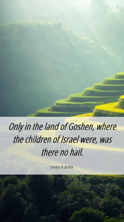 Picture 06 - Exodus 9:26 ASV Mobile Phone Wallpaper - Only in the land of Goshen, where the children of - Mobile Bible Verse Wallpaper