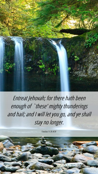 Picture 06 - Exodus 9:28 ASV Mobile Phone Wallpaper - Entreat Jehovah; for there hath been enough of - Mobile Bible Verse Wallpaper