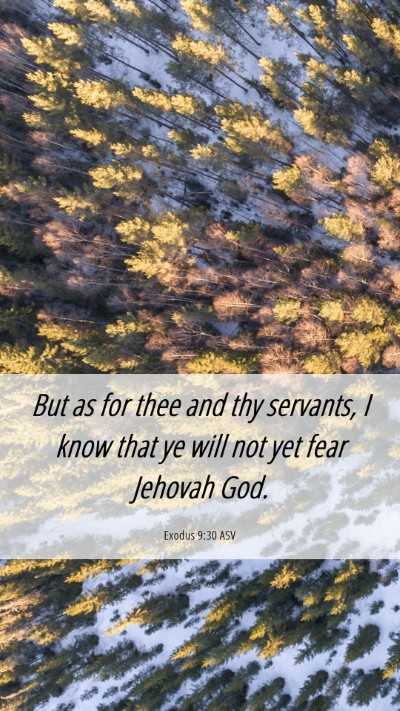 Picture 06 - Exodus 9:30 ASV Mobile Phone Wallpaper - But as for thee and thy servants, I know that ye - Mobile Bible Verse Wallpaper