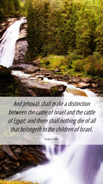 Picture 06 - Exodus 9:4 ASV Mobile Phone Wallpaper - And Jehovah shall make a distinction between the - Mobile Bible Verse Wallpaper
