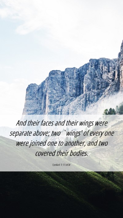 Picture 06 - Ezekiel 1:11 ASV Mobile Phone Wallpaper - And their faces and their wings were separate - Mobile Bible Verse Wallpaper