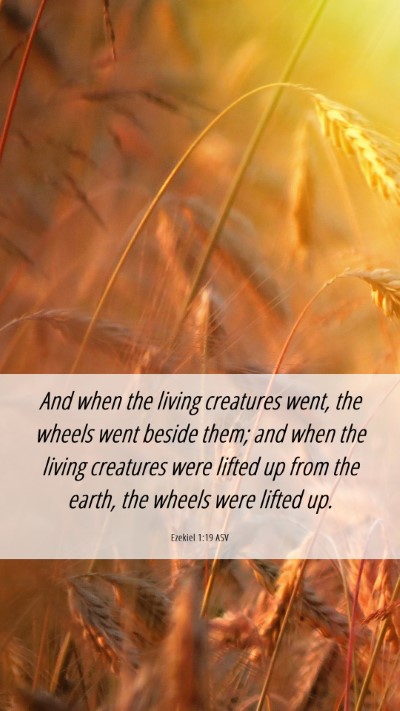 Picture 06 - Ezekiel 1:19 ASV Mobile Phone Wallpaper - And when the living creatures went, the wheels - Mobile Bible Verse Wallpaper