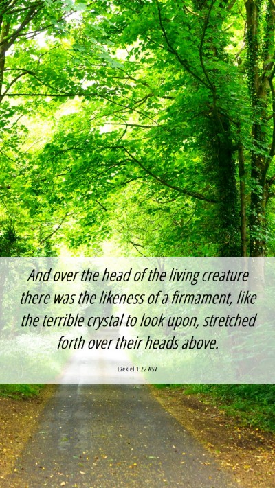 Picture 06 - Ezekiel 1:22 ASV Mobile Phone Wallpaper - And over the head of the living creature there - Mobile Bible Verse Wallpaper