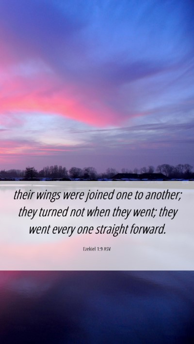 Picture 06 - Ezekiel 1:9 ASV Mobile Phone Wallpaper - their wings were joined one to another; they - Mobile Bible Verse Wallpaper