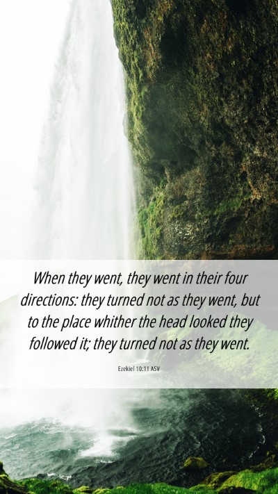 Picture 06 - Ezekiel 10:11 ASV Mobile Phone Wallpaper - When they went, they went in their four - Mobile Bible Verse Wallpaper
