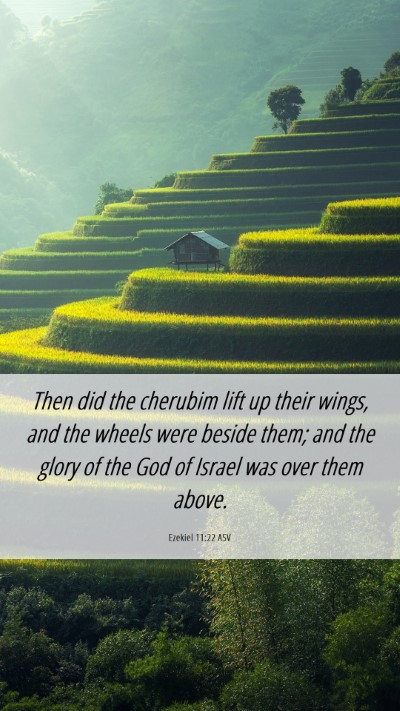 Picture 06 - Ezekiel 11:22 ASV Mobile Phone Wallpaper - Then did the cherubim lift up their wings, and - Mobile Bible Verse Wallpaper