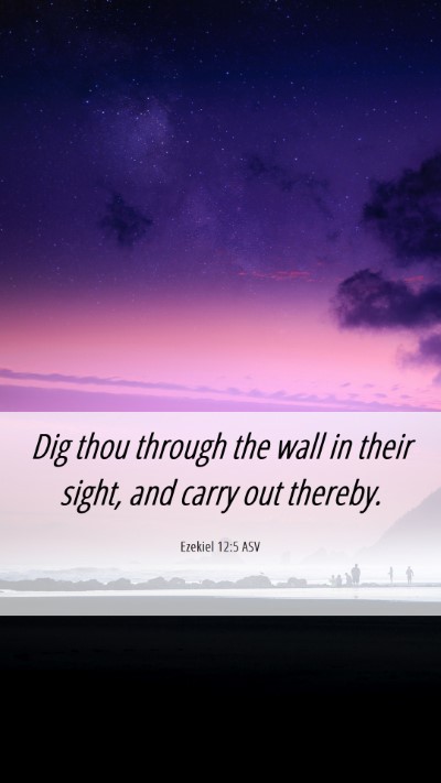 Picture 06 - Ezekiel 12:5 ASV Mobile Phone Wallpaper - Dig thou through the wall in their sight, and - Mobile Bible Verse Wallpaper