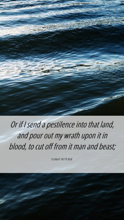 Picture 06 - Ezekiel 14:19 ASV Mobile Phone Wallpaper - Or if I send a pestilence into that land, and - Mobile Bible Verse Wallpaper